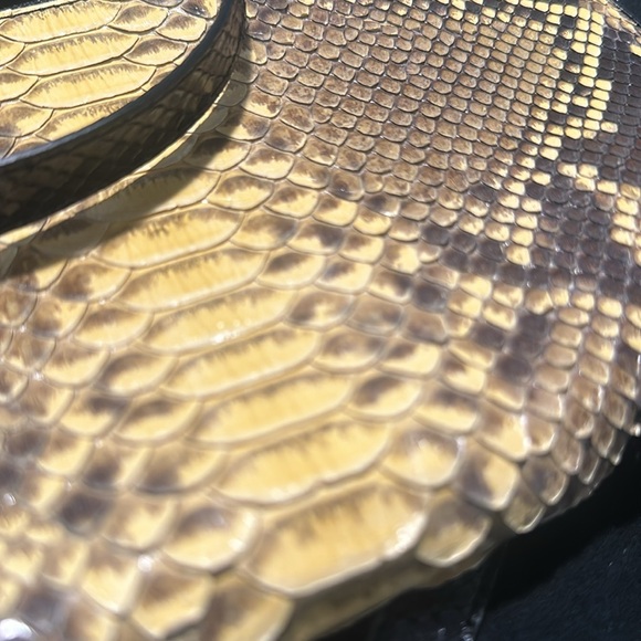 Genuine python! - Picture 2 of 4